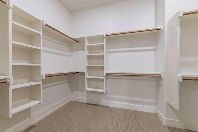 2228 Williams Lakeshore Dr, Kingsland, TX 78639 - spacious closet featuring carpet