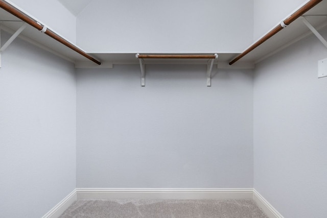 walk in closet featuring carpet flooring