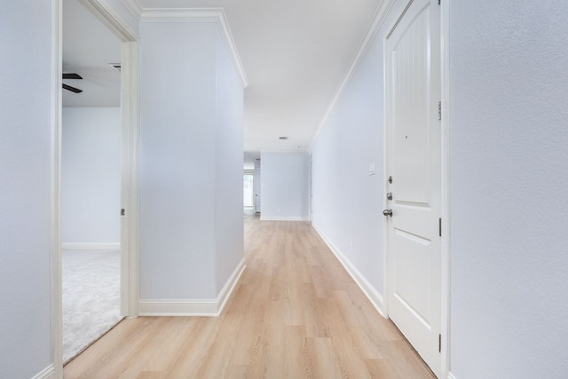 2509 Lightfoot Trl, Austin, TX 78745 - hallway featuring light wood-style floors and crown molding