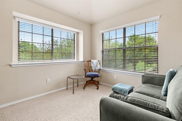 sitting room with carpet floors and baseboards