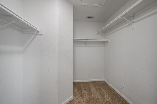 spacious closet featuring carpet floors and visible vents