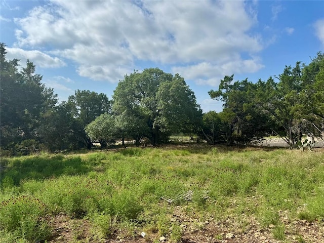 21021 Nimitz Ave, Lago Vista, TX 78645 - photo 2