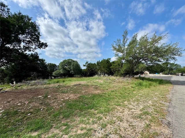 21021 Nimitz Ave, Lago Vista, TX 78645 - photo 4