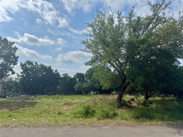 21021 Nimitz Ave, Lago Vista, TX 78645 - photo 5