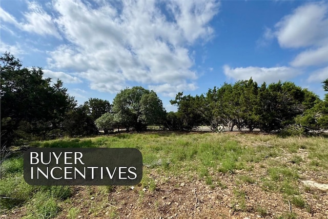 21021 Nimitz Ave, Lago Vista, TX 78645 - photo 1