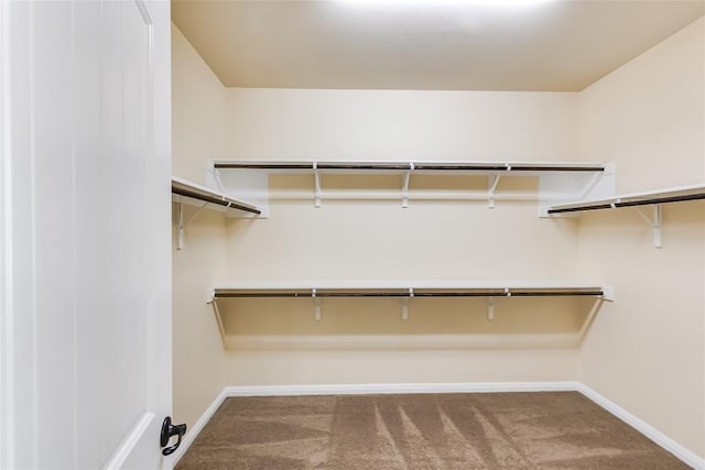spacious closet with carpet