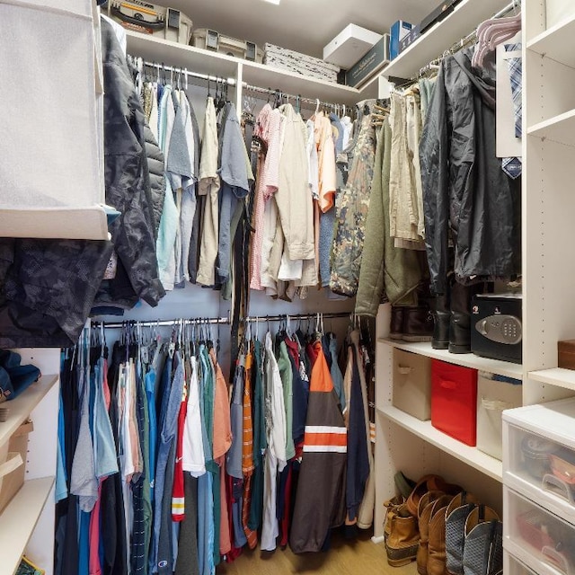 view of walk in closet
