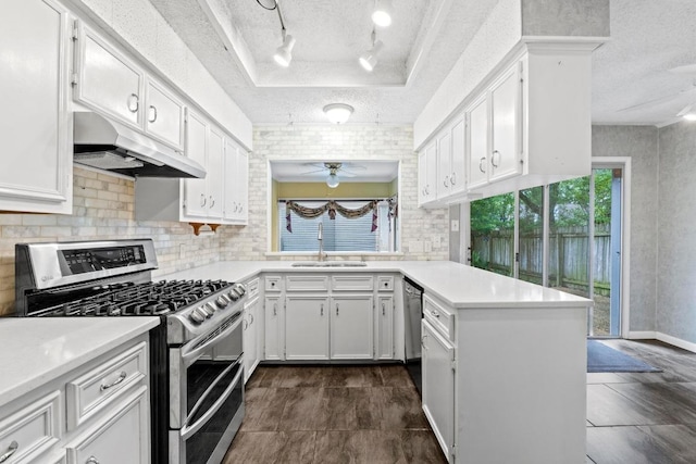 kitchen featuring appliances with stainless steel finishes, a sink, a raised ceiling, a peninsula, and under cabinet range hood