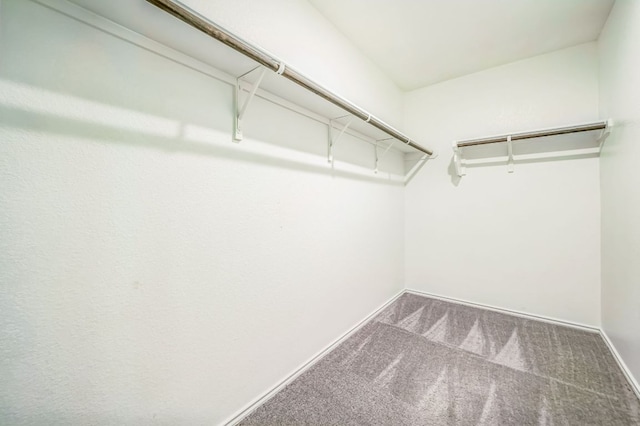 10401 American Paint Way, Manor, TX 78653 - spacious closet featuring carpet