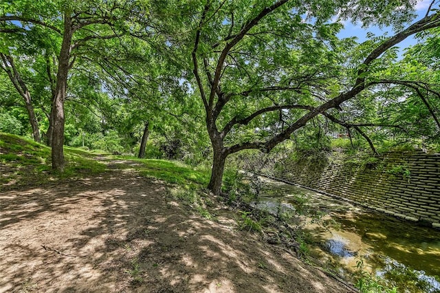 7253 Creekside Dr, Austin, TX 78752 - view of landscape
