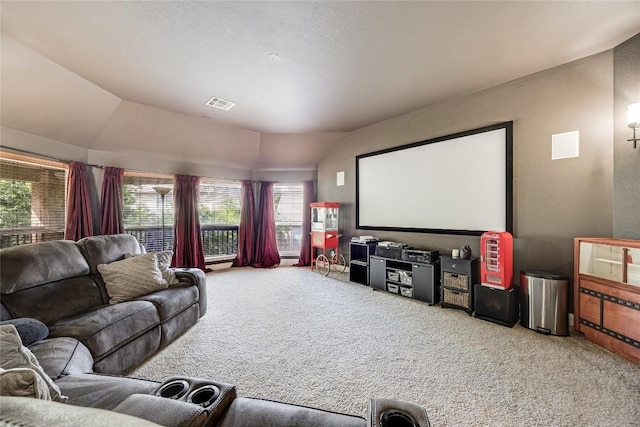 2607 Armatrading Dr, Cedar Park, TX 78613 - carpeted home theater with vaulted ceiling