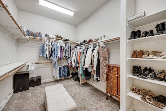 2607 Armatrading Dr, Cedar Park, TX 78613 - spacious closet featuring carpet floors