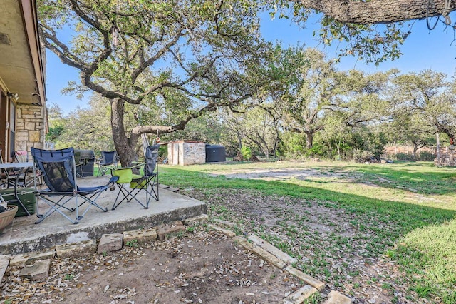 view of yard with a patio area