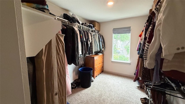 spacious closet with light colored carpet