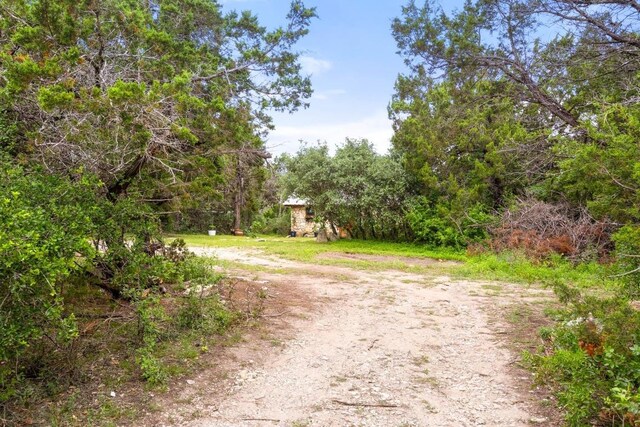8100 Kuhn Dr, Austin, TX 78736 - view of street featuring a view of trees and dirt driveway