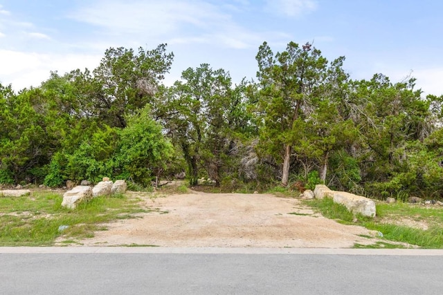 8100 Kuhn Dr, Austin, TX 78736 - view of road