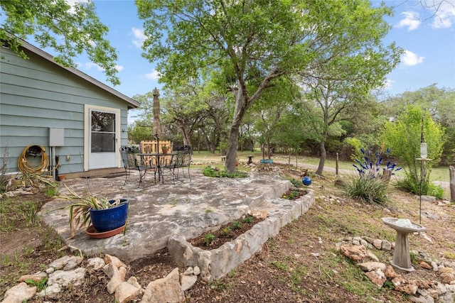 view of yard with a patio