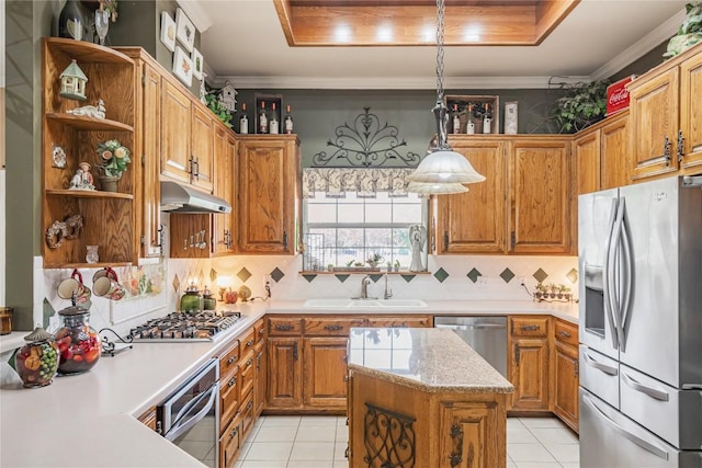 kitchen featuring a sink, a raised ceiling, under cabinet range hood, and stainless steel appliances