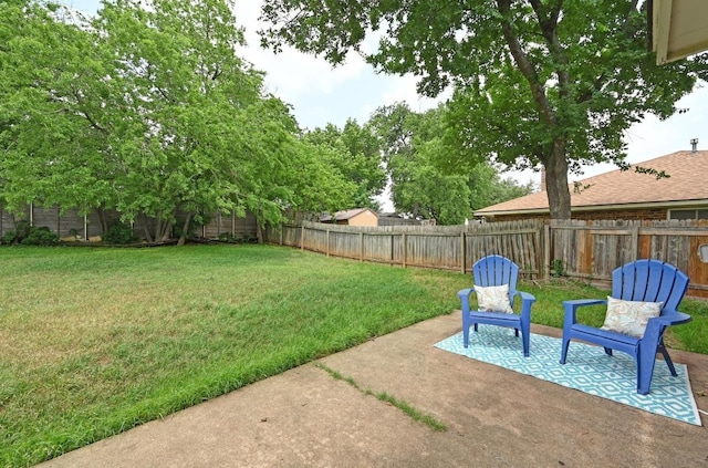 view of yard featuring a fenced backyard and a patio area