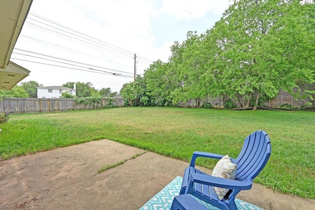 view of yard featuring a fenced backyard and a patio