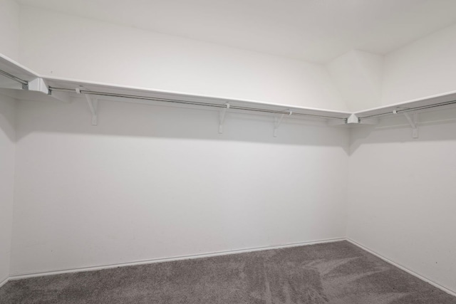 3944 Tufino Ln, Round Rock, TX 78665 - walk in closet featuring carpet
