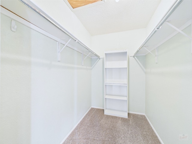 806 W 24th St Unit 312, Austin, TX 78705 - walk in closet featuring carpet flooring