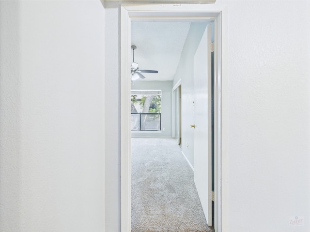 806 W 24th St Unit 312, Austin, TX 78705 - corridor featuring carpet flooring and baseboards