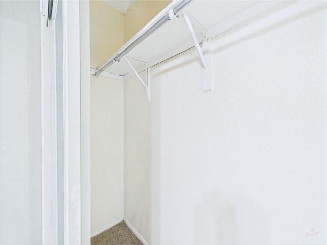 806 W 24th St Unit 312, Austin, TX 78705 - walk in closet with carpet