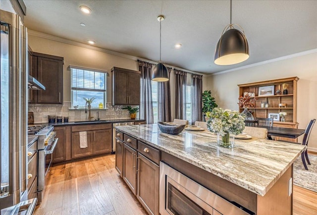 kitchen with crown molding, appliances with stainless steel finishes, a sink, light wood-style floors, and under cabinet range hood