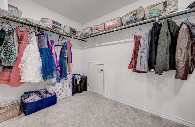 spacious closet featuring carpet