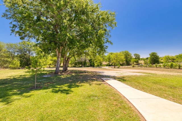 view of community with a lawn