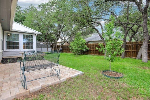 view of yard featuring a fenced backyard and a patio