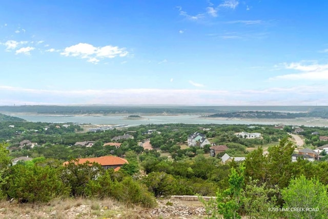 8293 Lime Creek Rd, Leander, TX 78641 - drone / aerial view