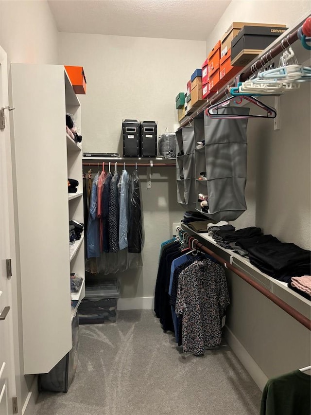 170 Nuuanu Rd, Bastrop, TX 78602 - spacious closet with carpet