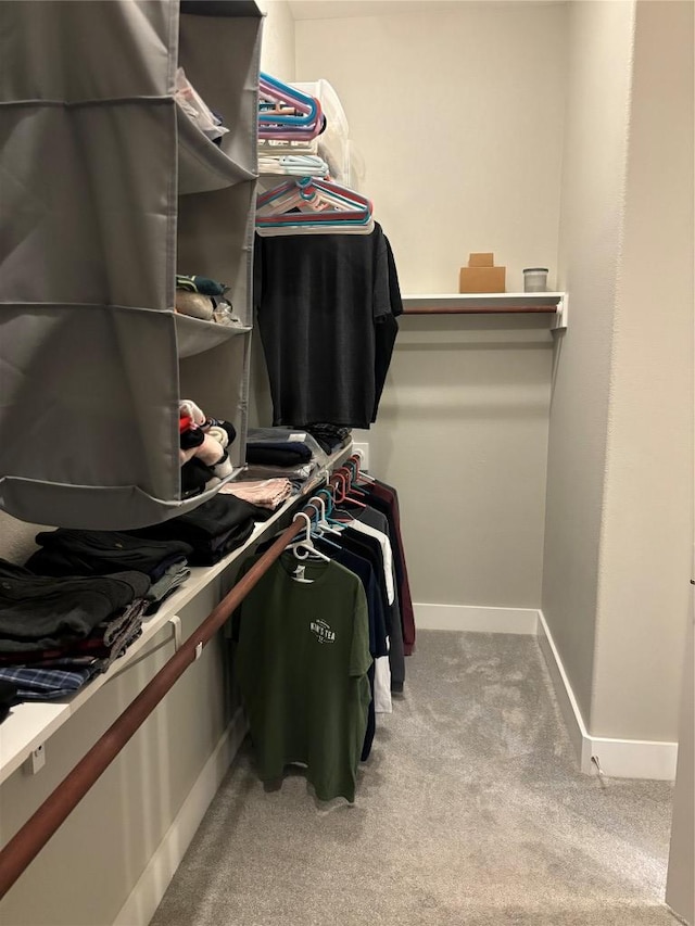 170 Nuuanu Rd, Bastrop, TX 78602 - spacious closet featuring carpet