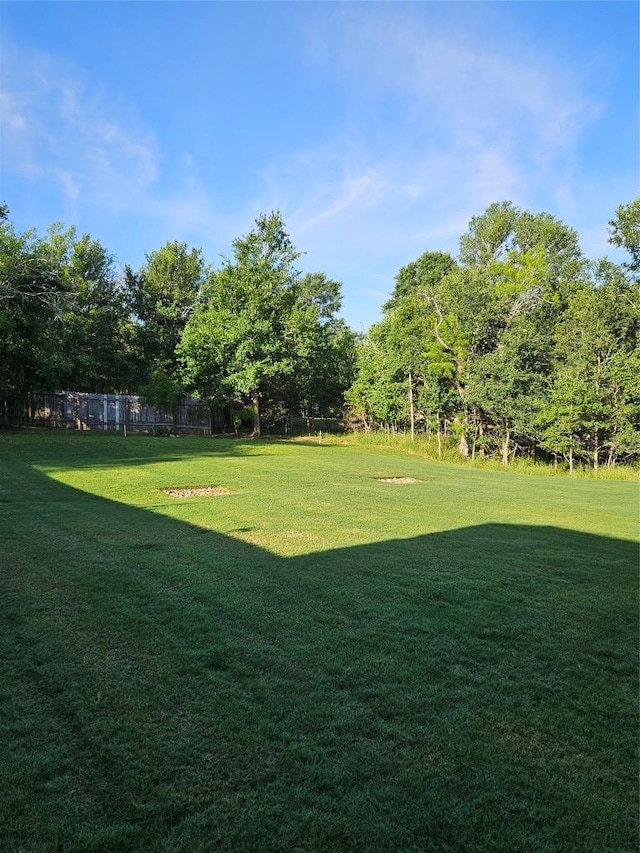 170 Nuuanu Rd, Bastrop, TX 78602 - view of yard