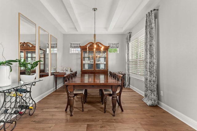 dining room with a notable chandelier, wood finished floors, and a wealth of natural light