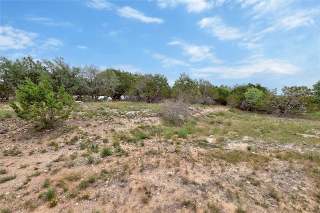view of local wilderness