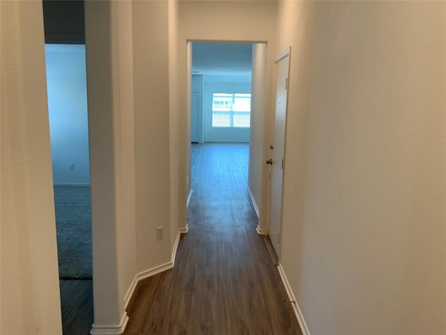 corridor with baseboards and dark wood-style flooring