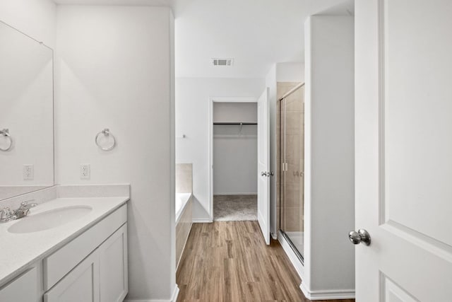 261 Blue Springs Pass, Kyle, TX 78640 - full bathroom with a stall shower, wood finished floors, vanity, a spacious closet, and a bathtub