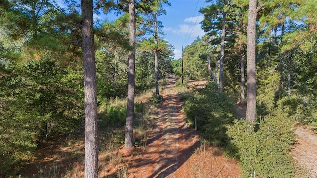 360 Copeland Hill Rd, Smithville, TX 78957 - view of nature