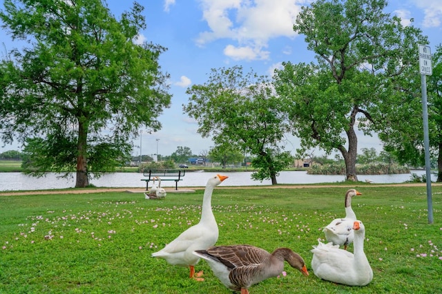 view of home's community with a lawn and a water view