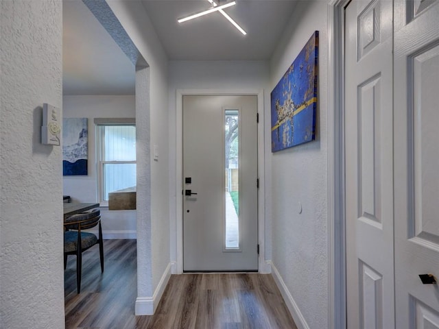 foyer featuring wood finished floors, a textured wall, baseboards, and healthy amount of natural light