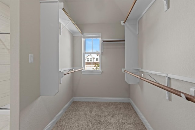 walk in closet with carpet
