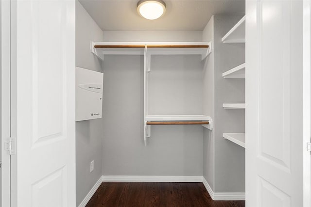 walk in closet featuring dark wood-style flooring