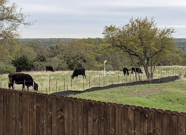 2224 Singletree Bnd, Georgetown, TX 78628 - view of yard with a wooded view and a rural view