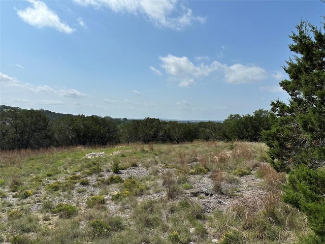 20703 Hayes Cv, Lago Vista, TX 78645