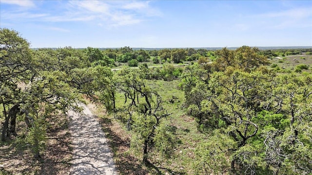 aerial view with a view of trees