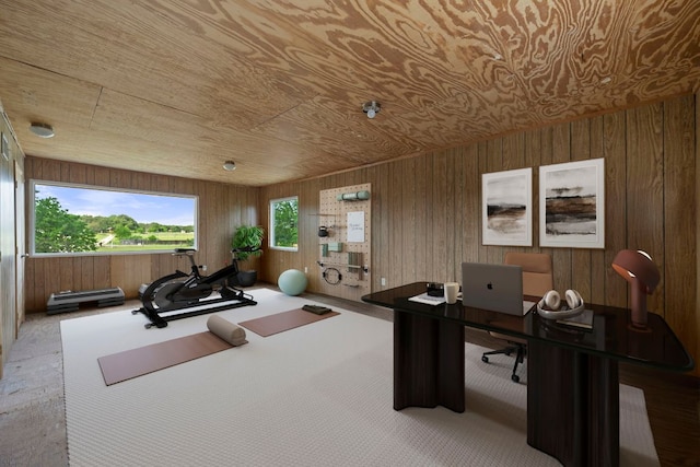 office space with carpet flooring and wooden walls