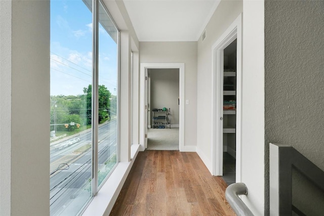 hallway with visible vents and wood finished floors